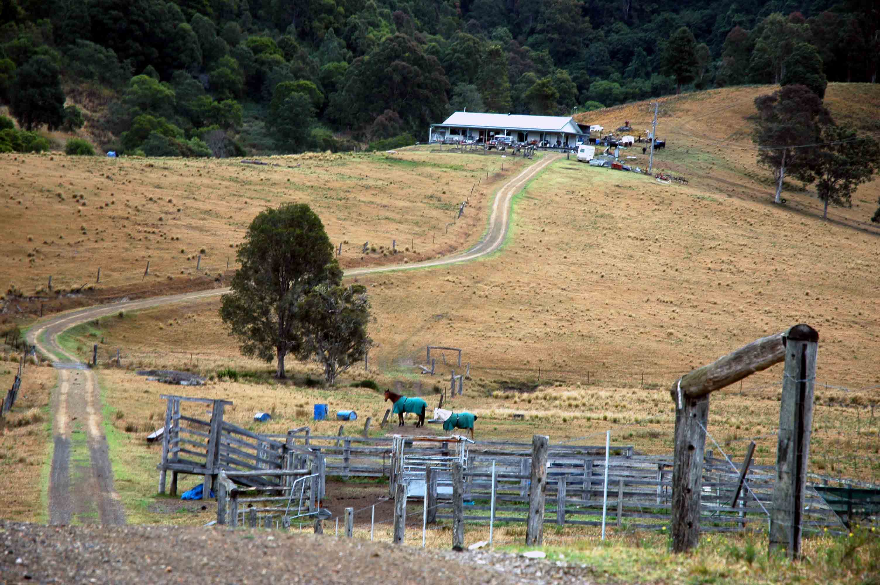 Taree, NSW (c) Edge Land Planning