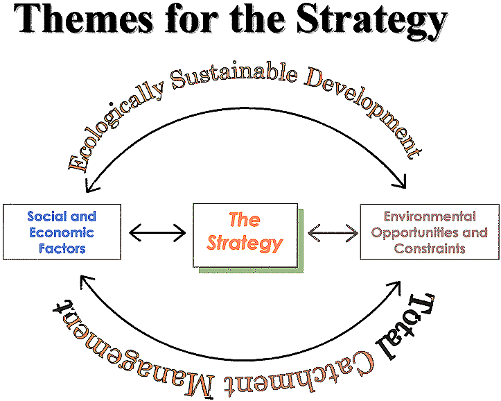 Strategy Themes